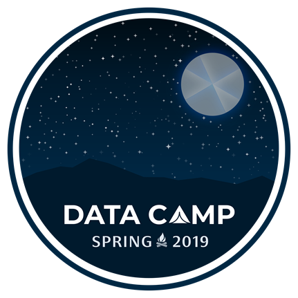 Data Camp logo showing a camp fire